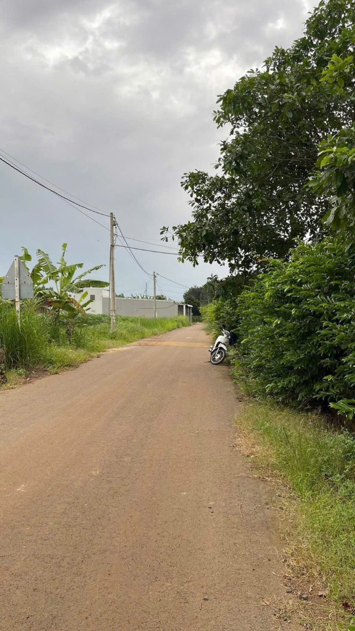 Bán 3000m2 tại Phường Trảng Bom, Thành phố Đồng Nai. - ảnh 2