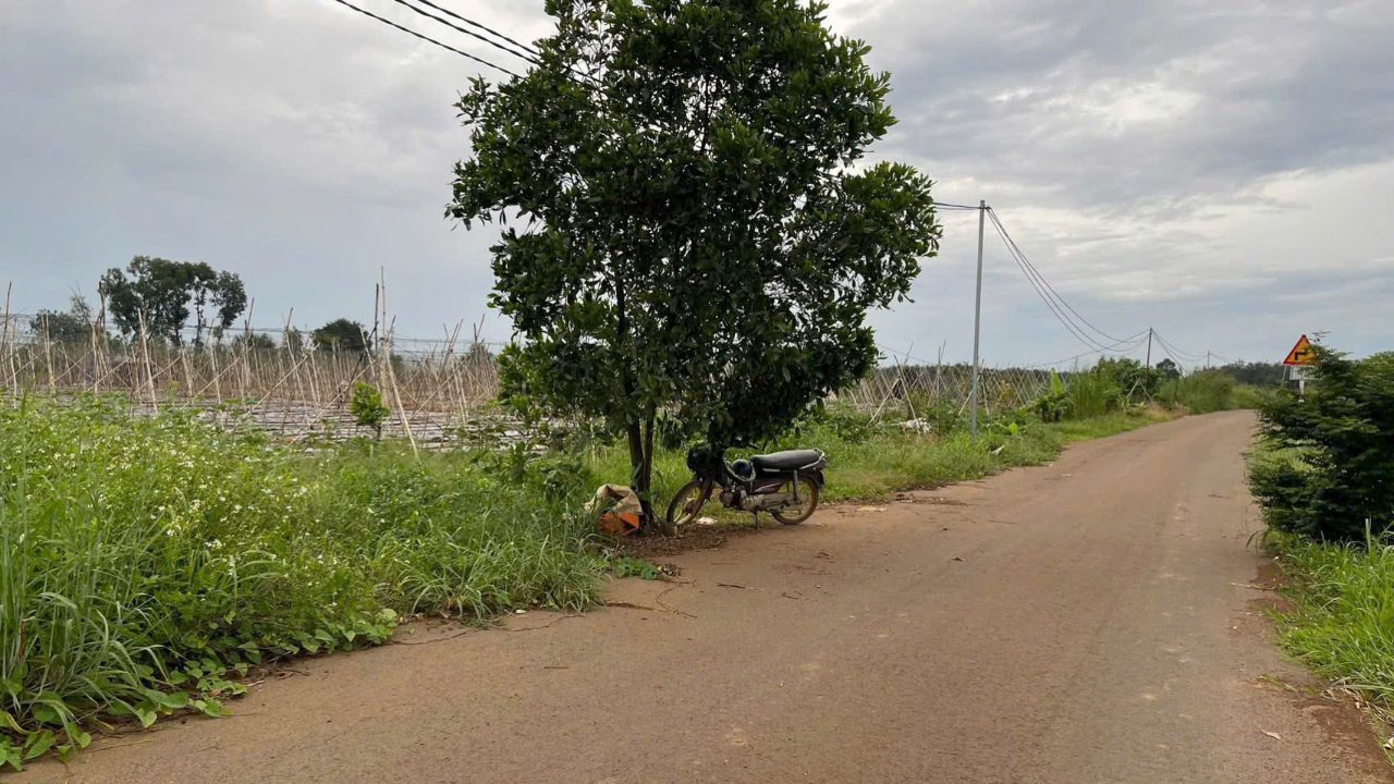 Bán 3000m2 tại Phường Trảng Bom, Thành phố Đồng Nai. - ảnh 4