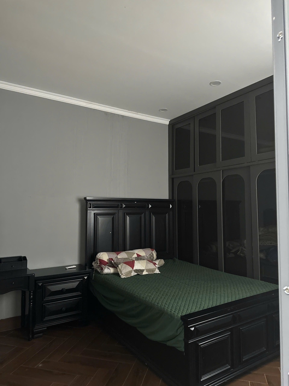 Bán 116,5m2 Xã Lộ 25, Thống NhấT,Đồng Nai - ảnh 2